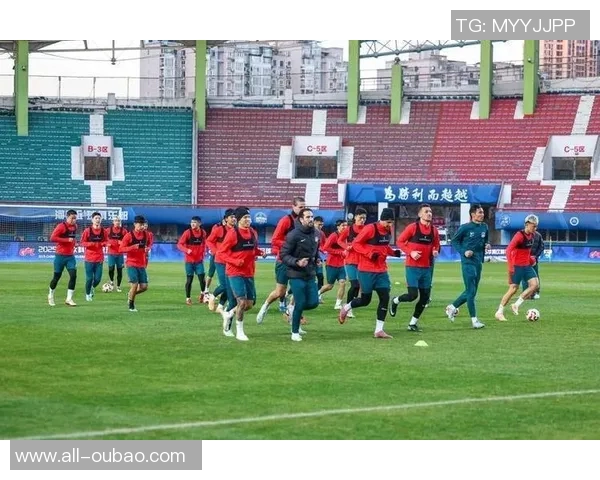 河南队引进前海港外援古斯塔沃31岁锋线新援加盟助力球队冲击新赛季